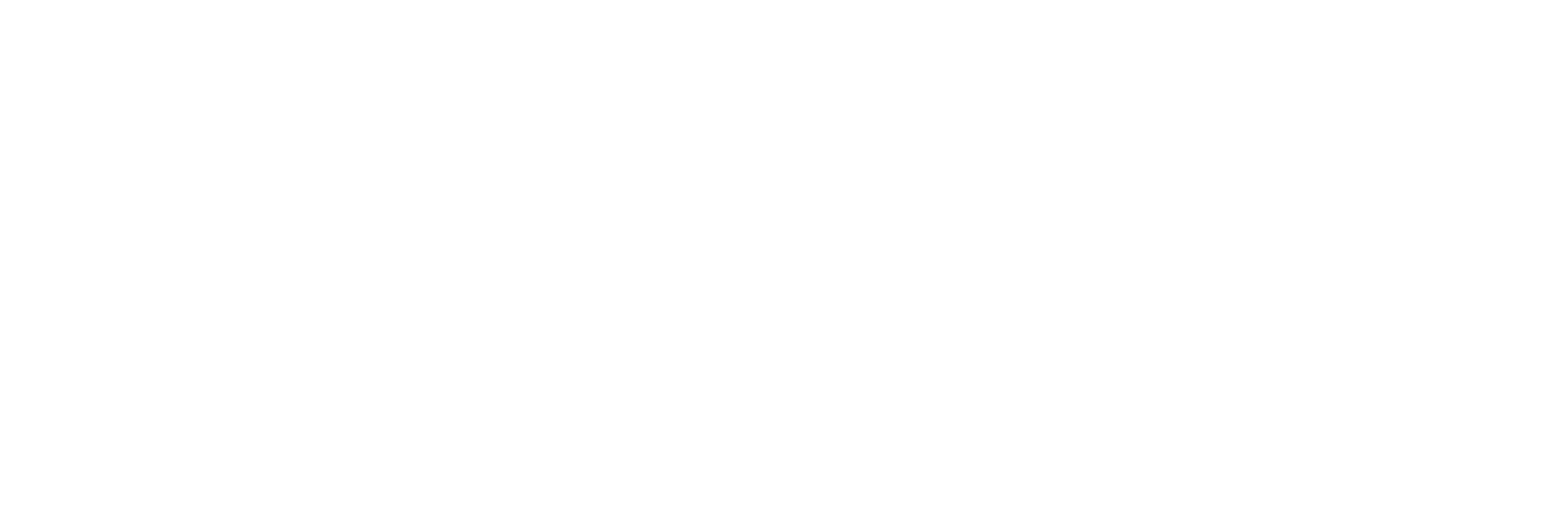 Optio Security